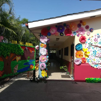 Celebración Día del Árbol